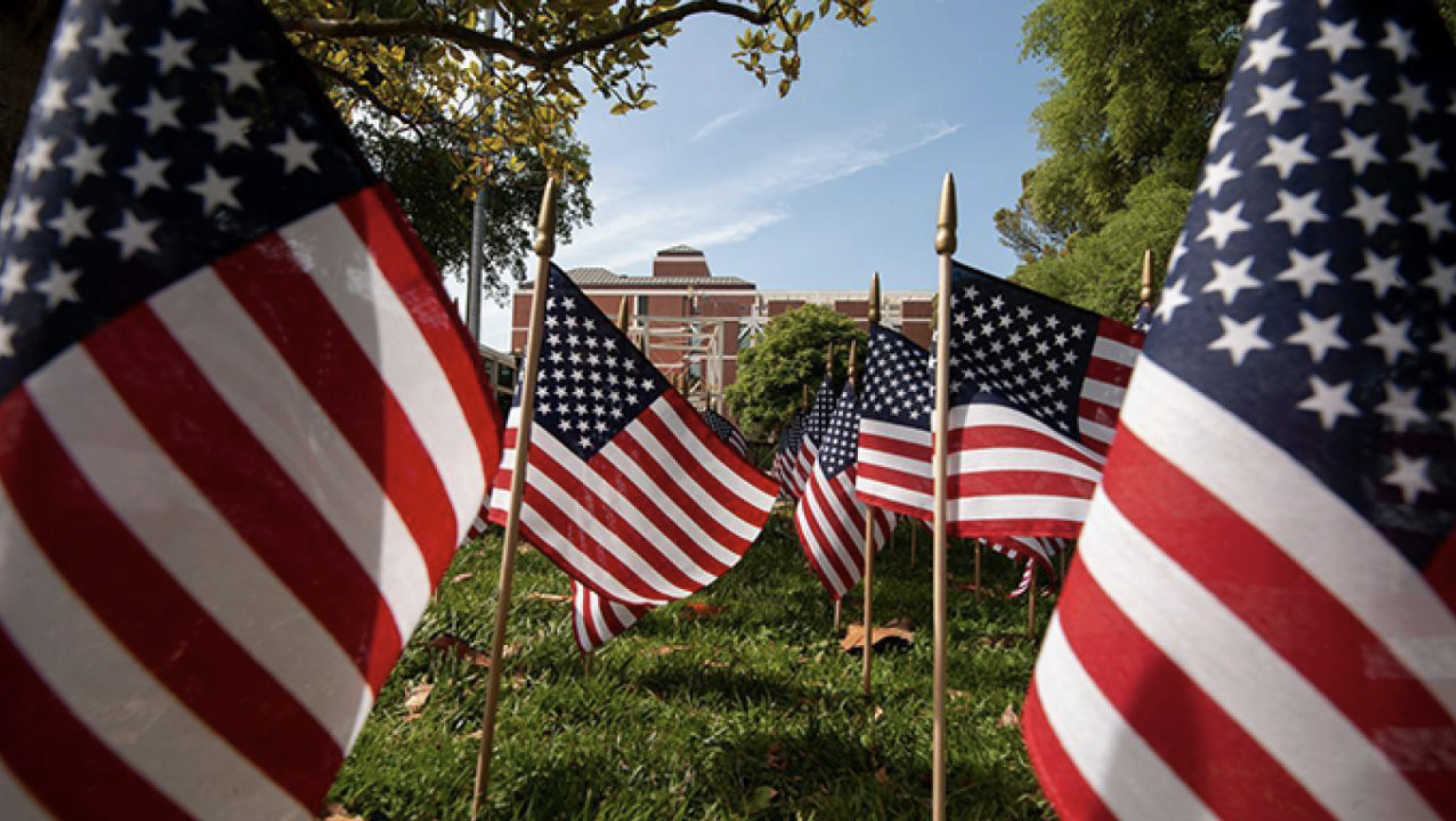 american flags on uc davis quad