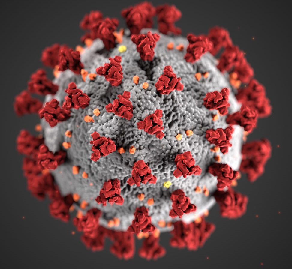 COVID-19 virus
