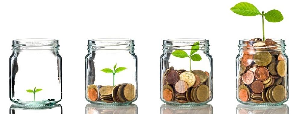 coins and plants in jars