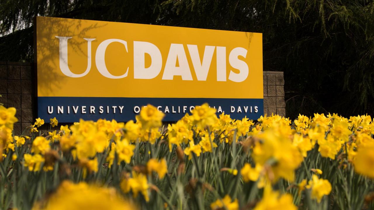 Uc Records Medical Medical Davis Center Uc Records Medical Medical Davis Center