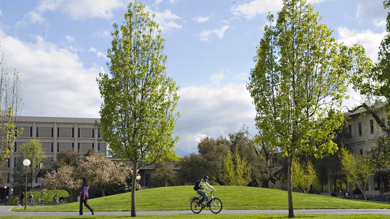 person riding their bike through uc davis campus