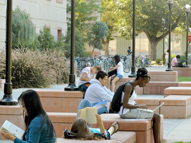students studying on campus in the outdoors