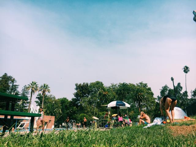 sunny day at the pool