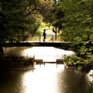 single person walking across bridge over arboretum waterway. 